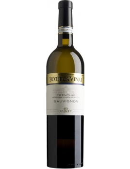 Вино Боттега Винай / Совиньон блан Италия Трентино-Альто-Адидже белое сухое 0,75 л. 13%